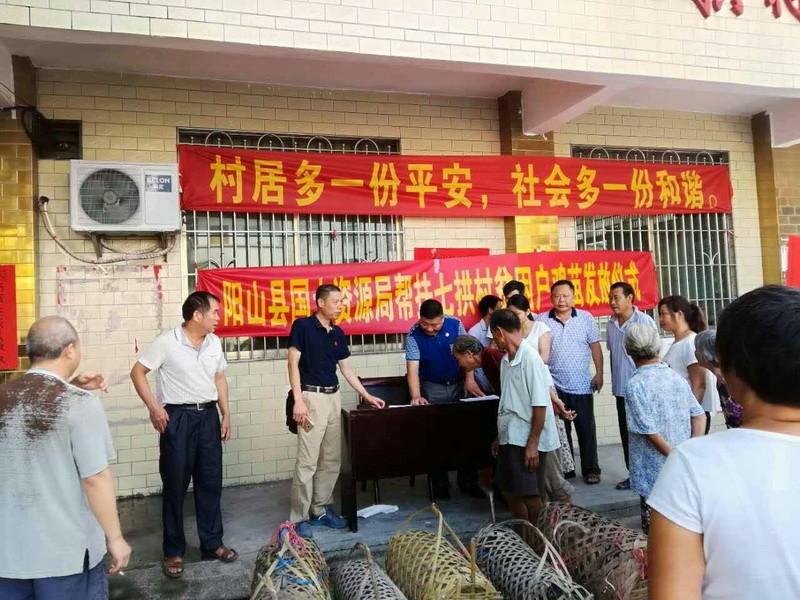 山岗村交通新闻更新，最新动态报道
