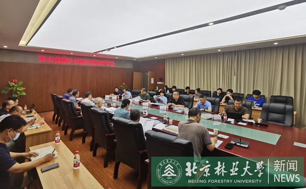 科尔沁右翼前旗统计局新项目助力地方经济高质量发展