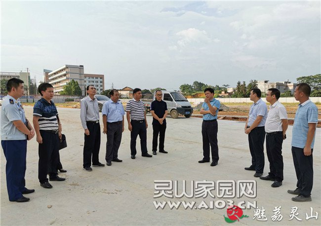 灵山县初中最新动态报道