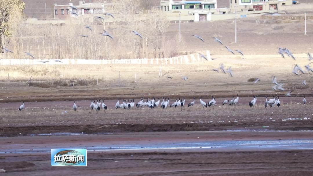 那木乡新任领导引领乡村迈向新辉煌