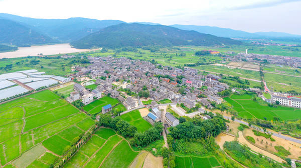 桑布村交通新篇章，迈向现代化交通发展之路